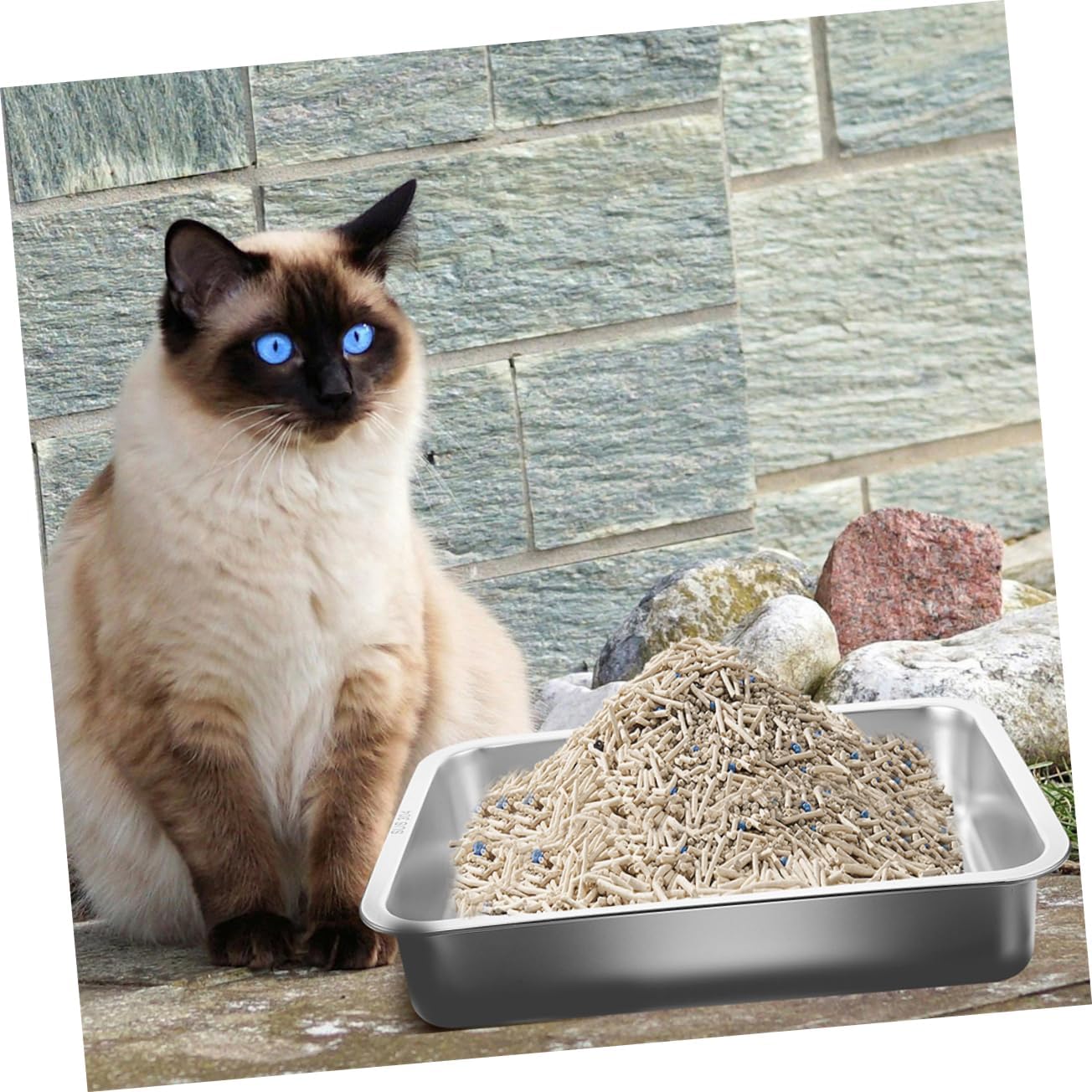 UPKOCH Stainless Steel Cat Litter Box Lid Open Design for Kittens and Cats Easy to Construction Space-Saving Pet Waste