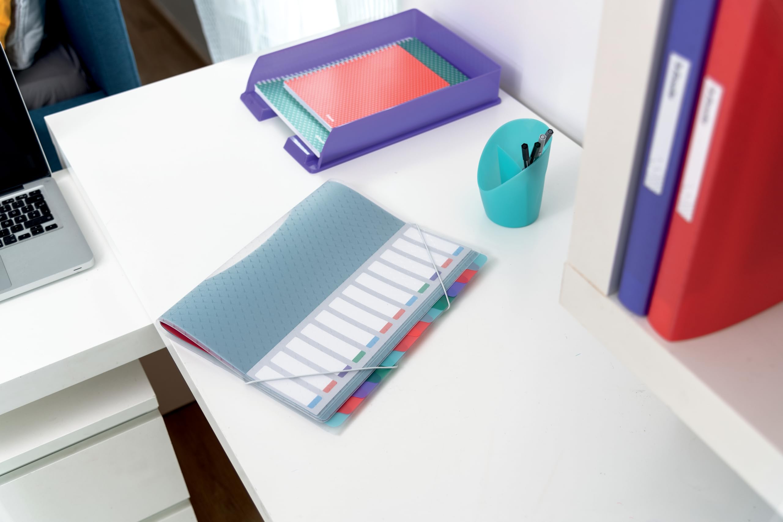 Esselte, Teczka Segregująca A4 z 12 Przekładkami Esselte Colour'Breeze, do Domu/Biura, Bezkwasowe Tworzywo, Folder na Luźne Notatki, Wytłoczony Wzór, Wielokolorowa, 626256