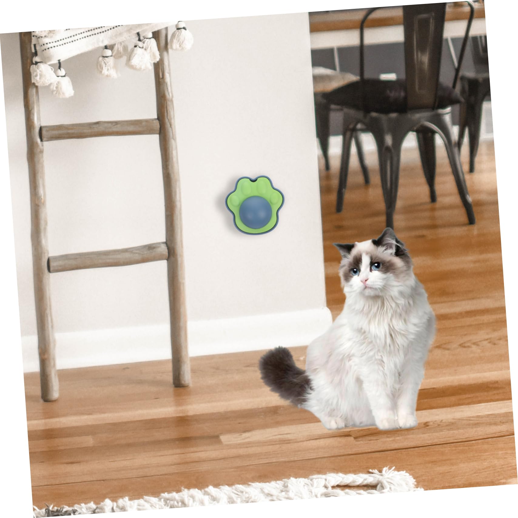 Yardwe 10 Juegos De Huellas De Gatera para Gatos De Gatera Juguete para Mascotas Juguete para Morder Gatito Juguete para para La Montaje