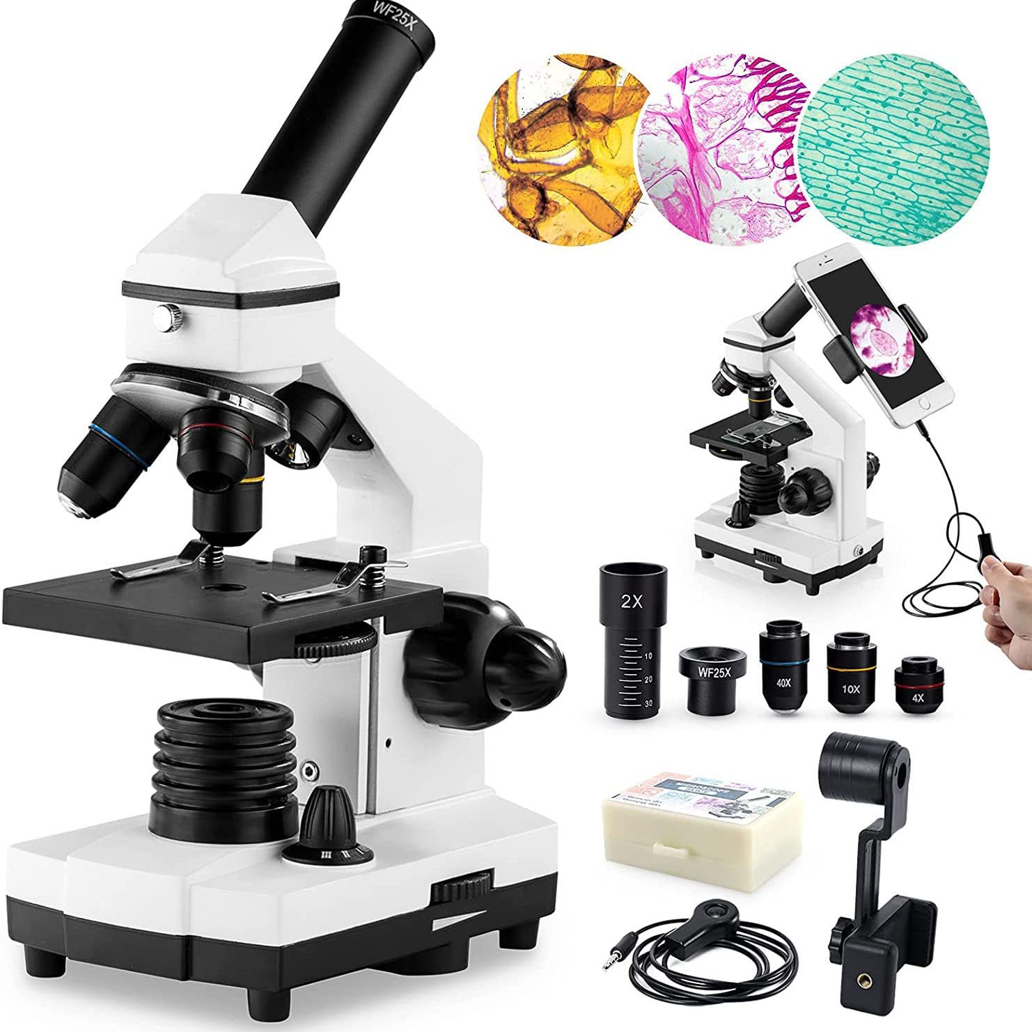 100X-2000X Microscopes for Kids Students Adults, with Microscope Slides Set, Phone Adapter, Powerful Biological Microscopes for School Laboratory Home Education