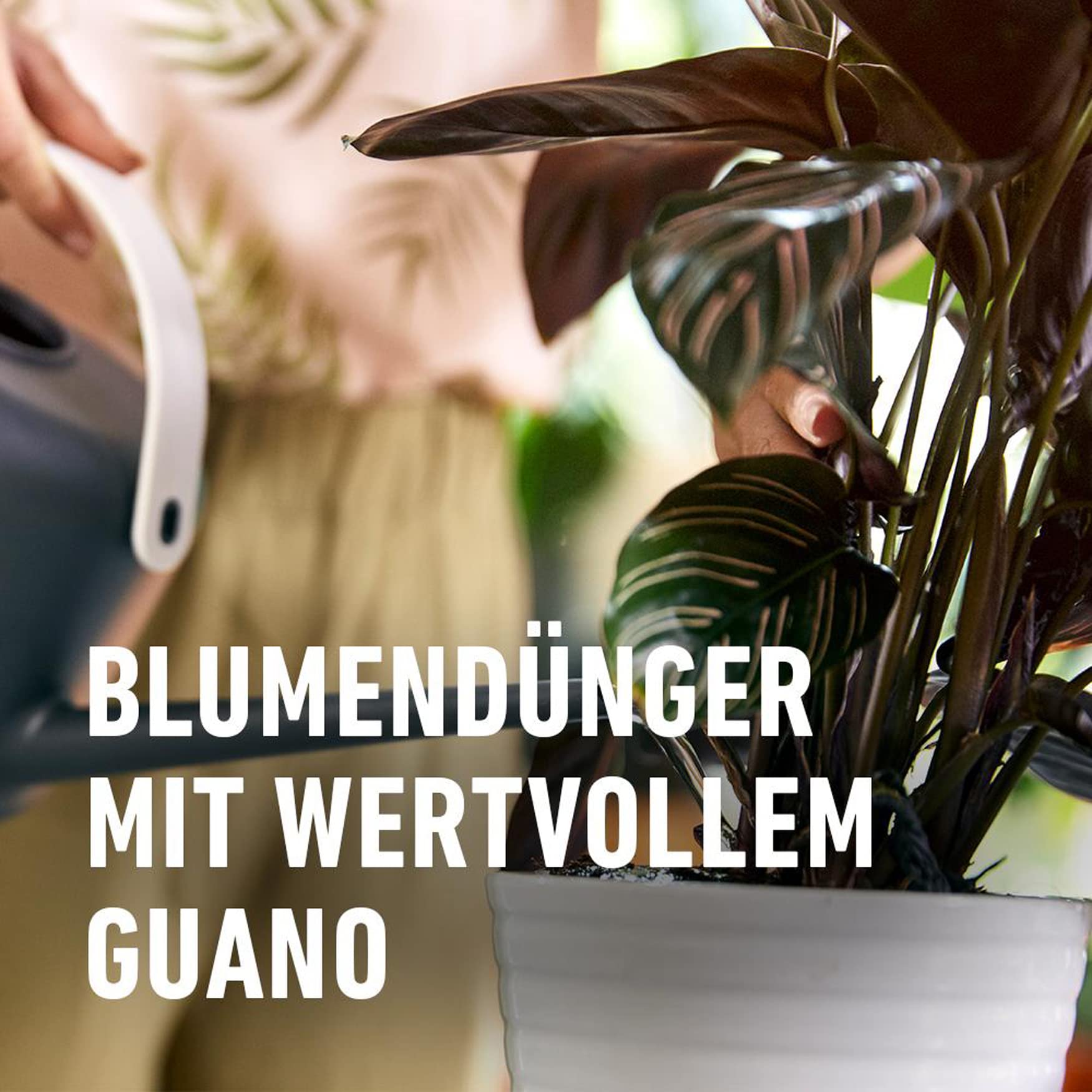 Beiselen Compo Blumendünger mit Guano flüssig 5 l