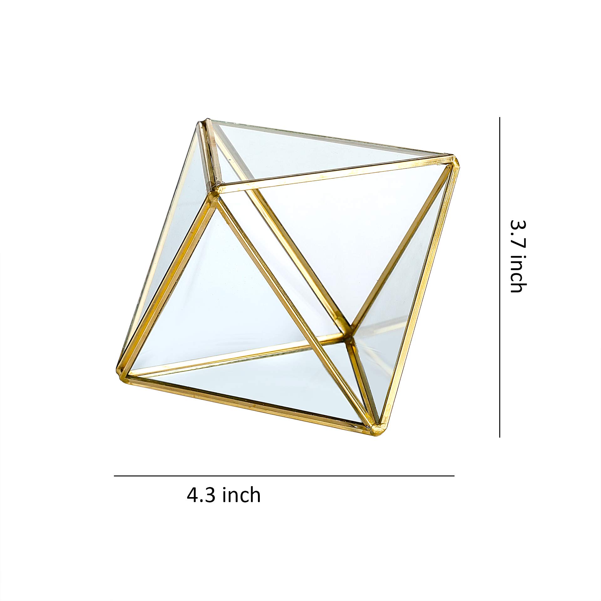 Glass Geometric Terrarium Container 4.5X5.2 inch and 4.3X3.7 inch Glass Terrarium for Succulent & Air Plant (Gold, 2pcs)