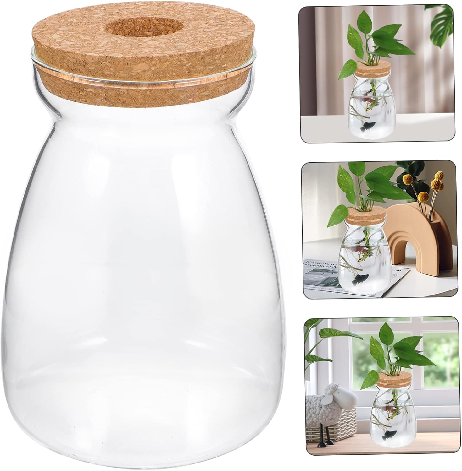 BESPORTBLE Large Glass Terrarium Jar with Ventilated Lid for Hydroponic Succulent Plants Transparent Ecosystem Container for Indoor Miniature Gardens for Bedroom and Office