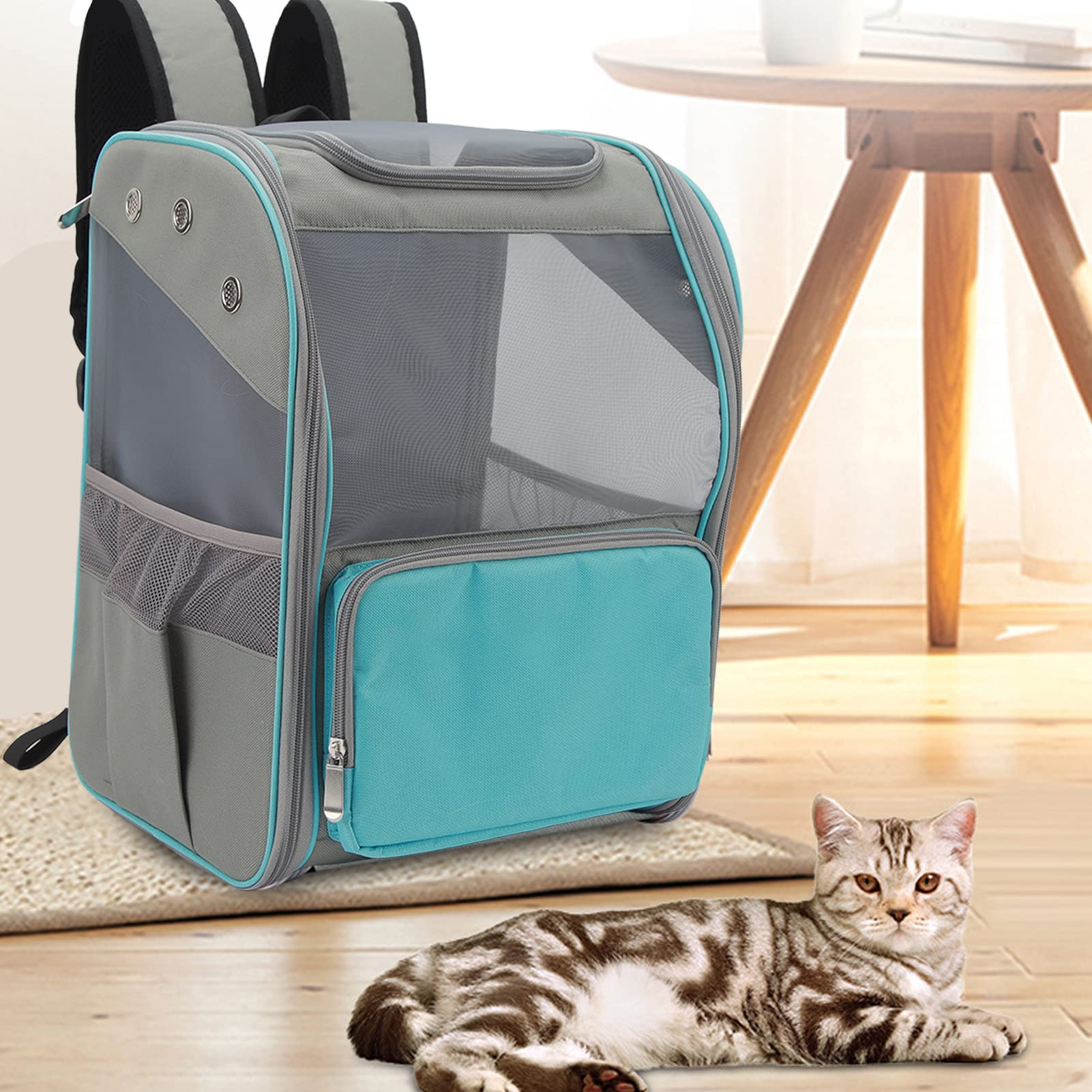 Zaino per trasportino per animali domestici, Zaino per trasportino per cani gatto traspirante Borsa per zaino per animali domestici per escursioni Viaggi All'aperto Tenere animali (Blu)