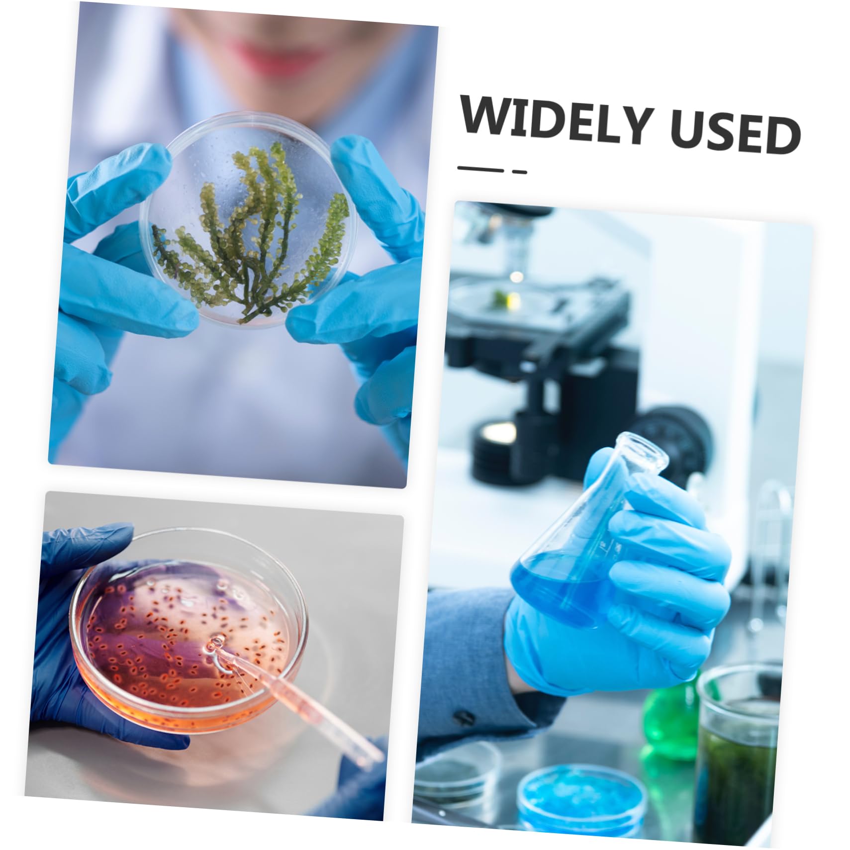 Healeved Reagenzgläser für Wissenschaftliche Experimente Vielseitig Einsetzbar 24 Stück aus Glas 30ml mit Dichtem Deckel aus Eisen und Sichere Aufbewahrung