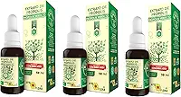 Kit c/ 3 Própolis Verde 70 - Extrato 25% - 30ml - Apis Flora