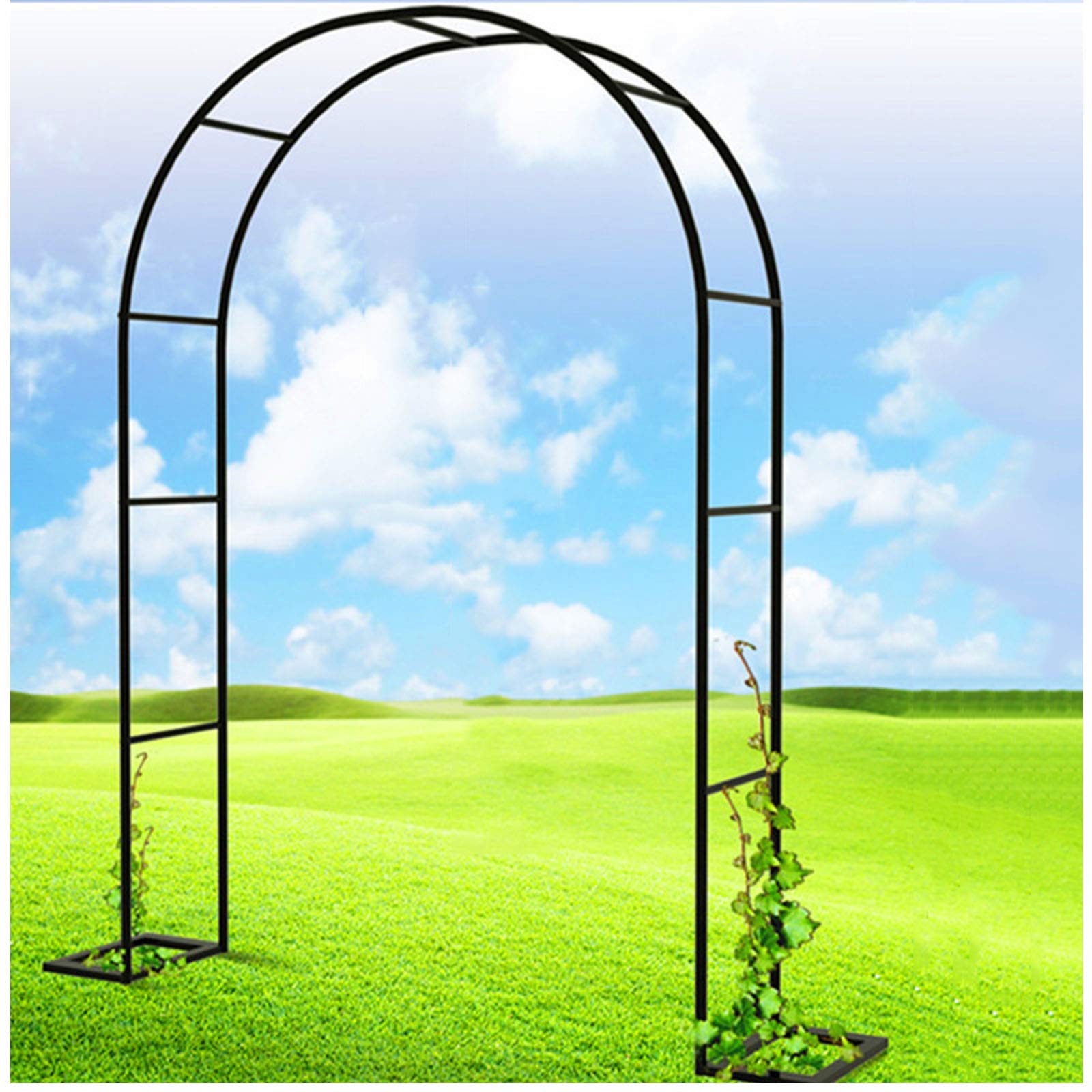 Treillis rosiers arche de jardin métallique pour pergola extérieure