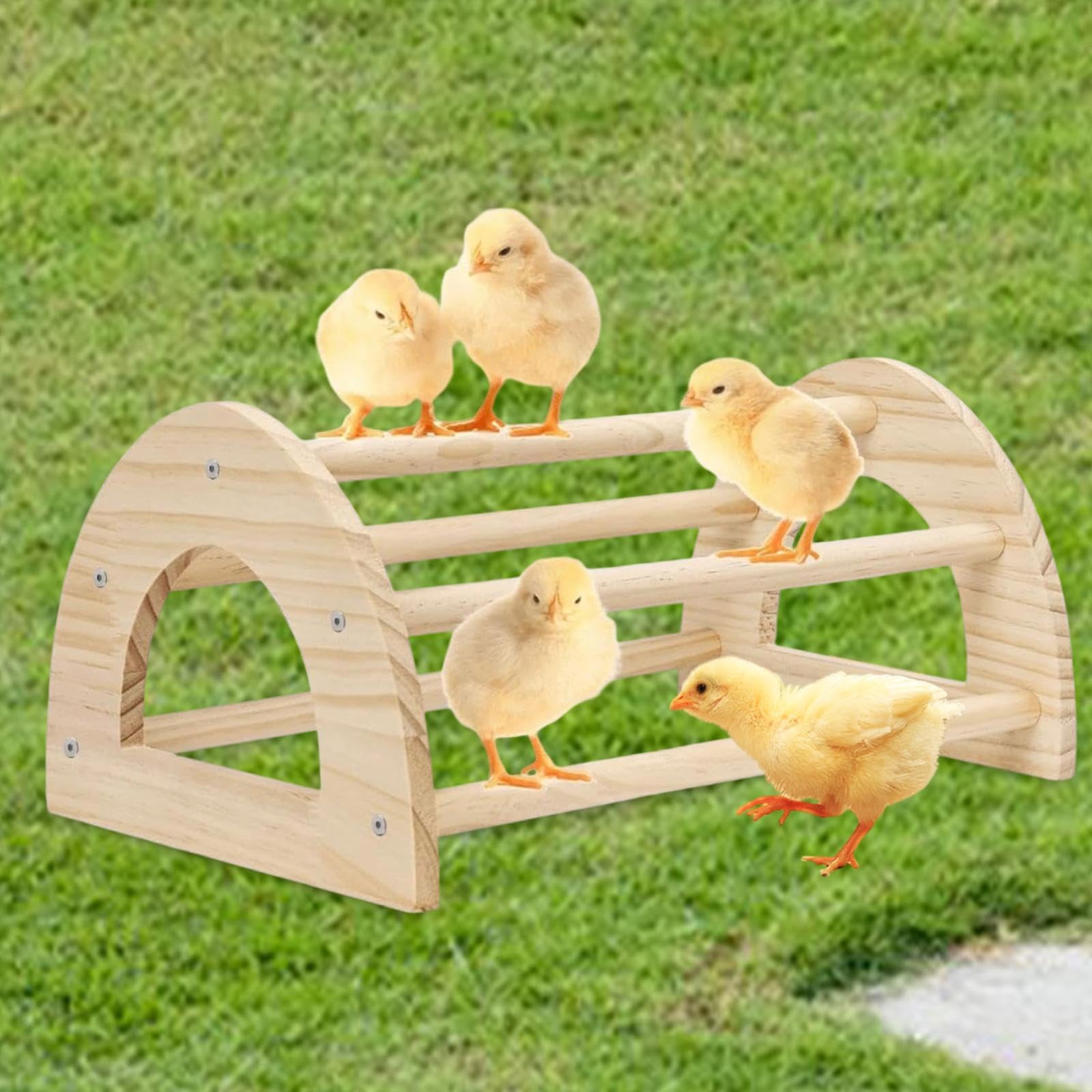 Milageto Hühnerstange, Hühnerholzständer, Spielständer, Trainingsständer, Zubehör, Kükensitzstange, Vogelstange aus für Papageien und Vögel