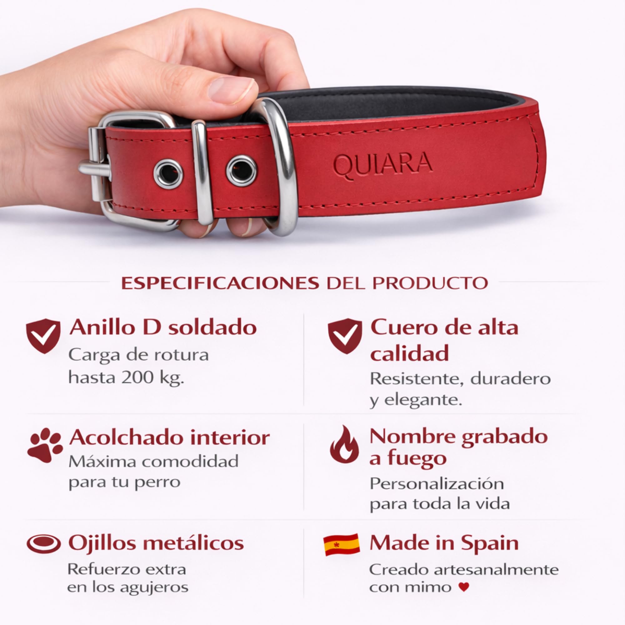 Collar para Perro de Cuero con Acolchado - Personalizable con Nombre Grabado - Hecho a Mano, Resistente y Elegante - Llavero Personalizado de Regalo (Negro, XL: Rango de Cuello 48–58 cm)