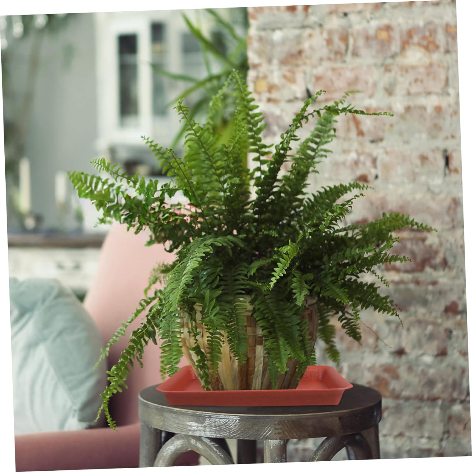6pcs Flower Pot Trays Plant Watering Trays for Flowers Easy Install Random Color