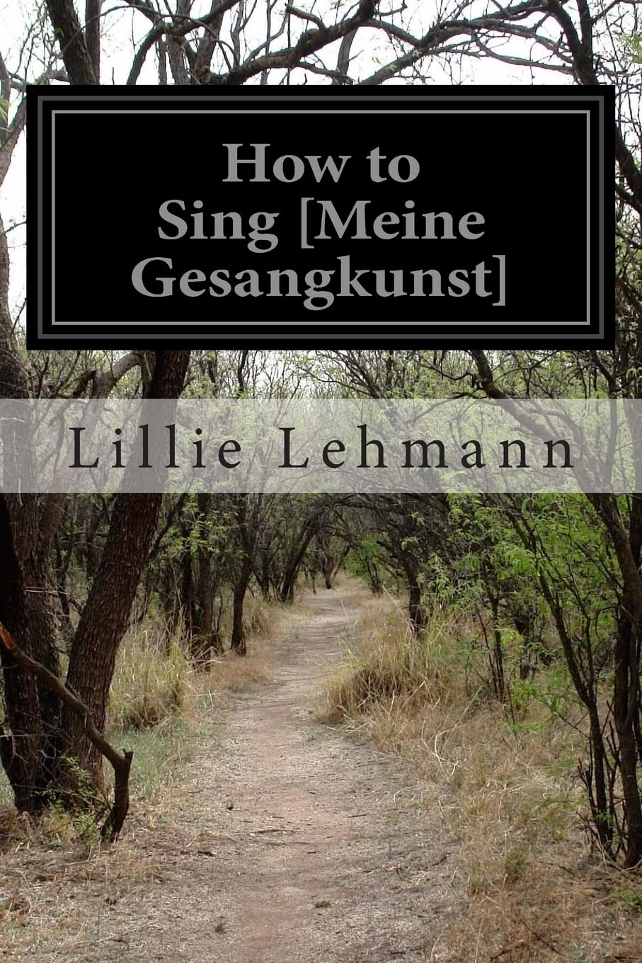 How to Sing [Meine Gesangkunst]