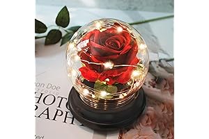Preserved Rose Flower Gifts: Enchanted Rose for Her