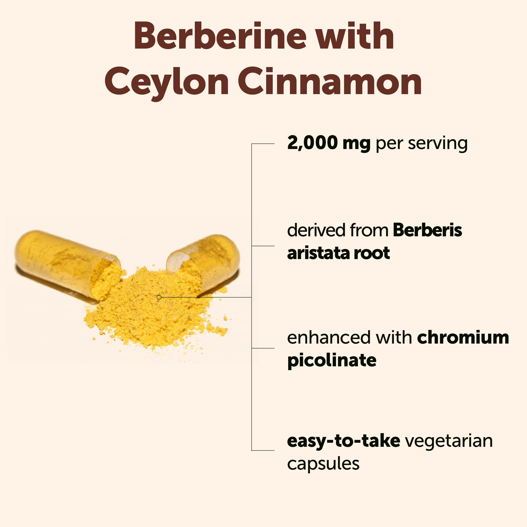 Micro Ingredients Berberine with Ceylon Cinnamon 2,000 mg Per Serving, 240 Vegetarian Capsules | Berberine Supplement with Chromium Picolinate & Ceylon Cinnamon | Non-GMO — Amazon image 2