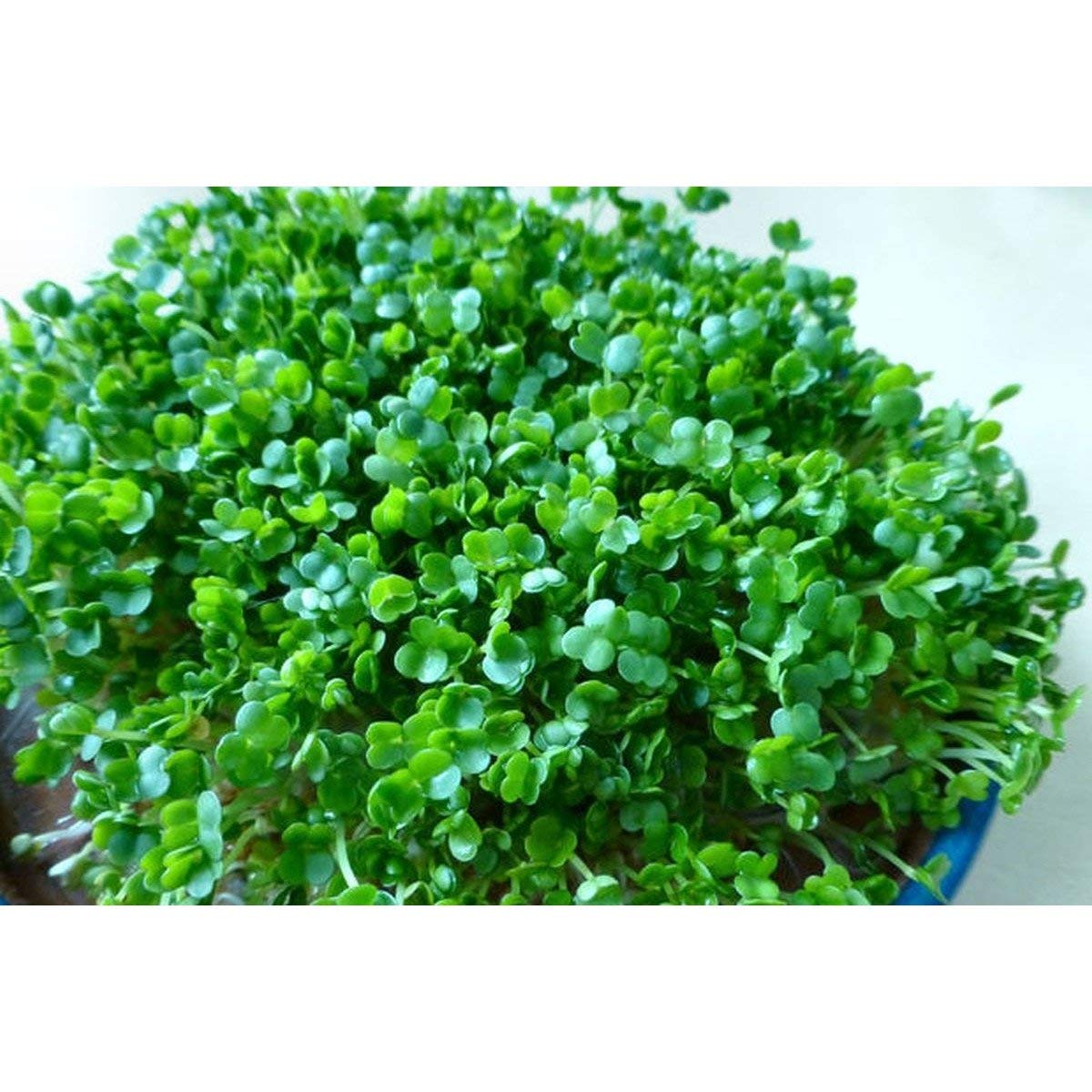 product_img5