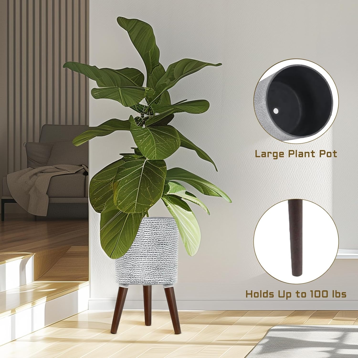 https://m.media-amazon.com/images/I/71H+gFVPL0L._AC_SL1500_.jpg