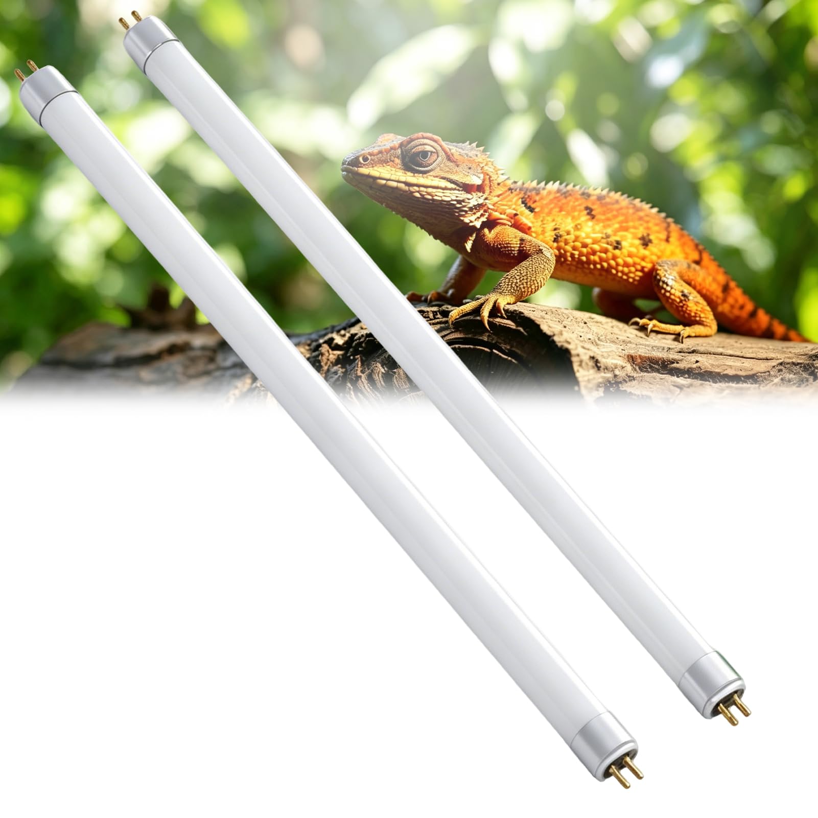 8W T5 UVB Light for Reptiles 2Pack,10.0 UVA/UVB Fluorescent Tube Lamp 12 Inch/300mm Terrarium Hood Bulb for Terrariums Vivarium Bearded Dragons Turtles Chameleons Desert Iguanas Lizard Snake Species