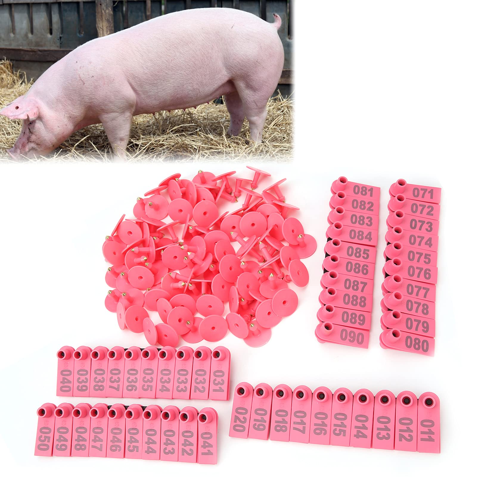 100 Pezzi di Marchi Auricolari per Animali da Fattoria in Plastica per Orecchini di Plastica per Capre Pecore Bovini Mucche Maiali[Rosa] Accessori per il trasporto di animali da allevamento