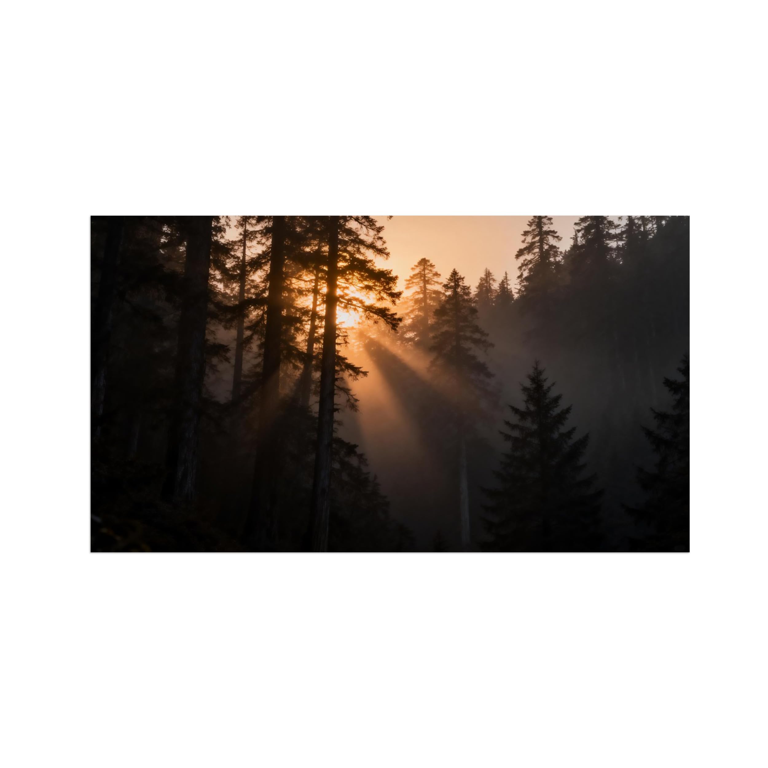 OZPWBVY Black and White Landscape Print Painting-Forest Tree Sunrise 2-Minimalist Canvas Wall Art Picture for Home Decor 24x42in 60x108cm Unframed