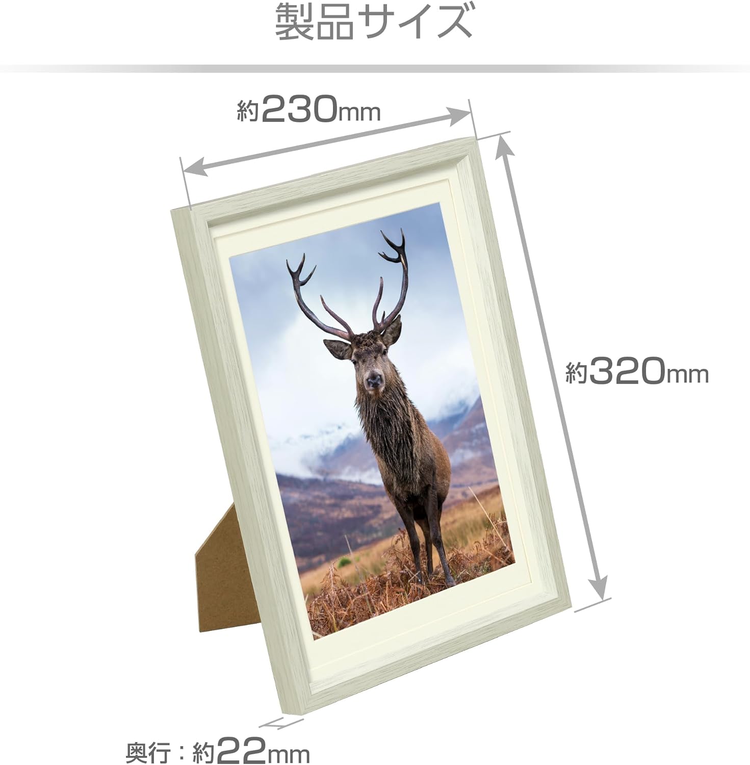 Hakuba Chululu FCHL-P01LWT P01 Picture Frame, B5/A4/Clear File Size, White
