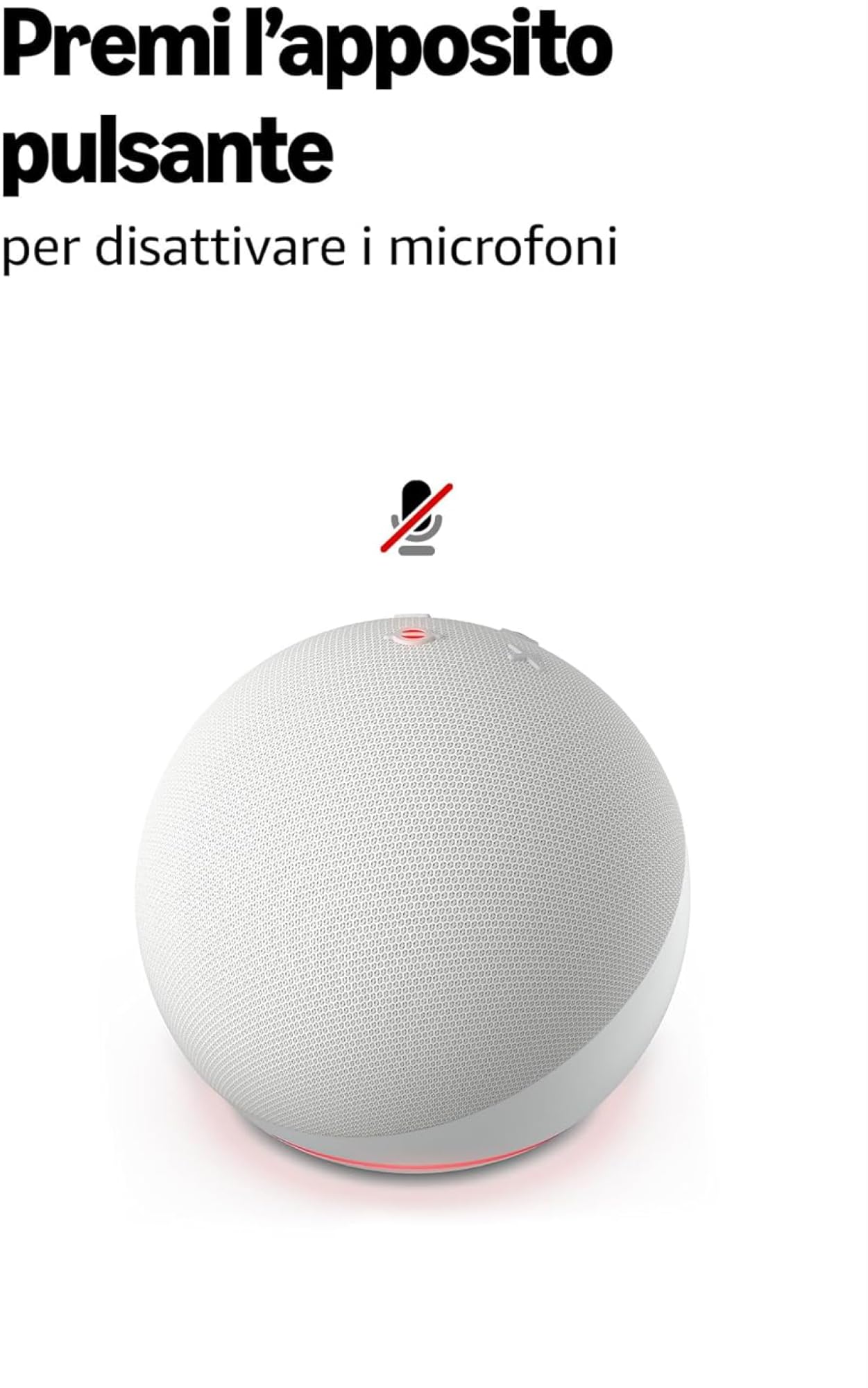 Echo Dot (5ª generazione) | Antracite + WiZ Presa intelligente, compatibile con Alexa - Kit di base per Casa Intelligente