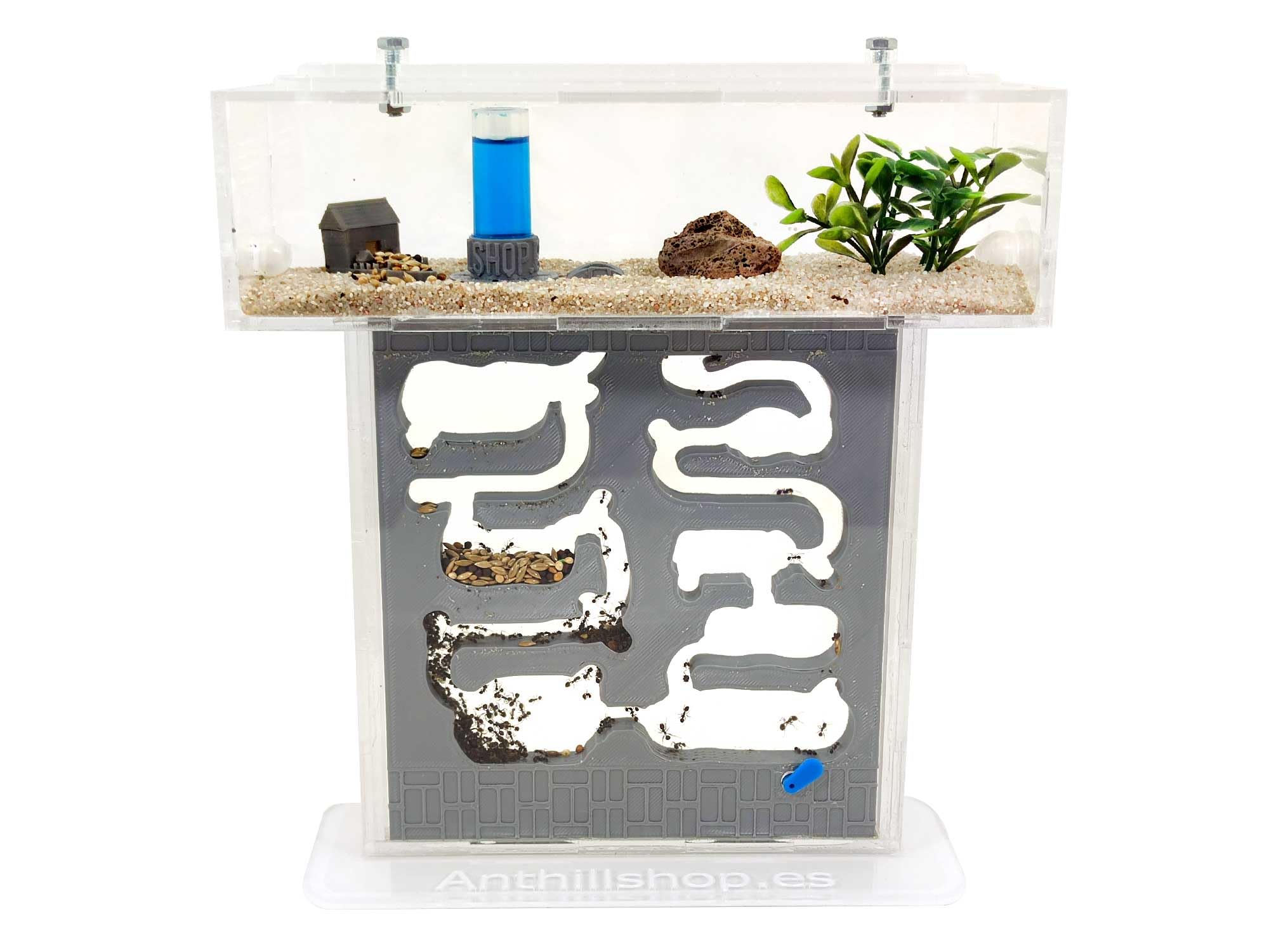 Formicaio T-Small Pro Galleria 3D, colore grigio, con formiche vive, kit completo, nuovo sistema di umidità efficace