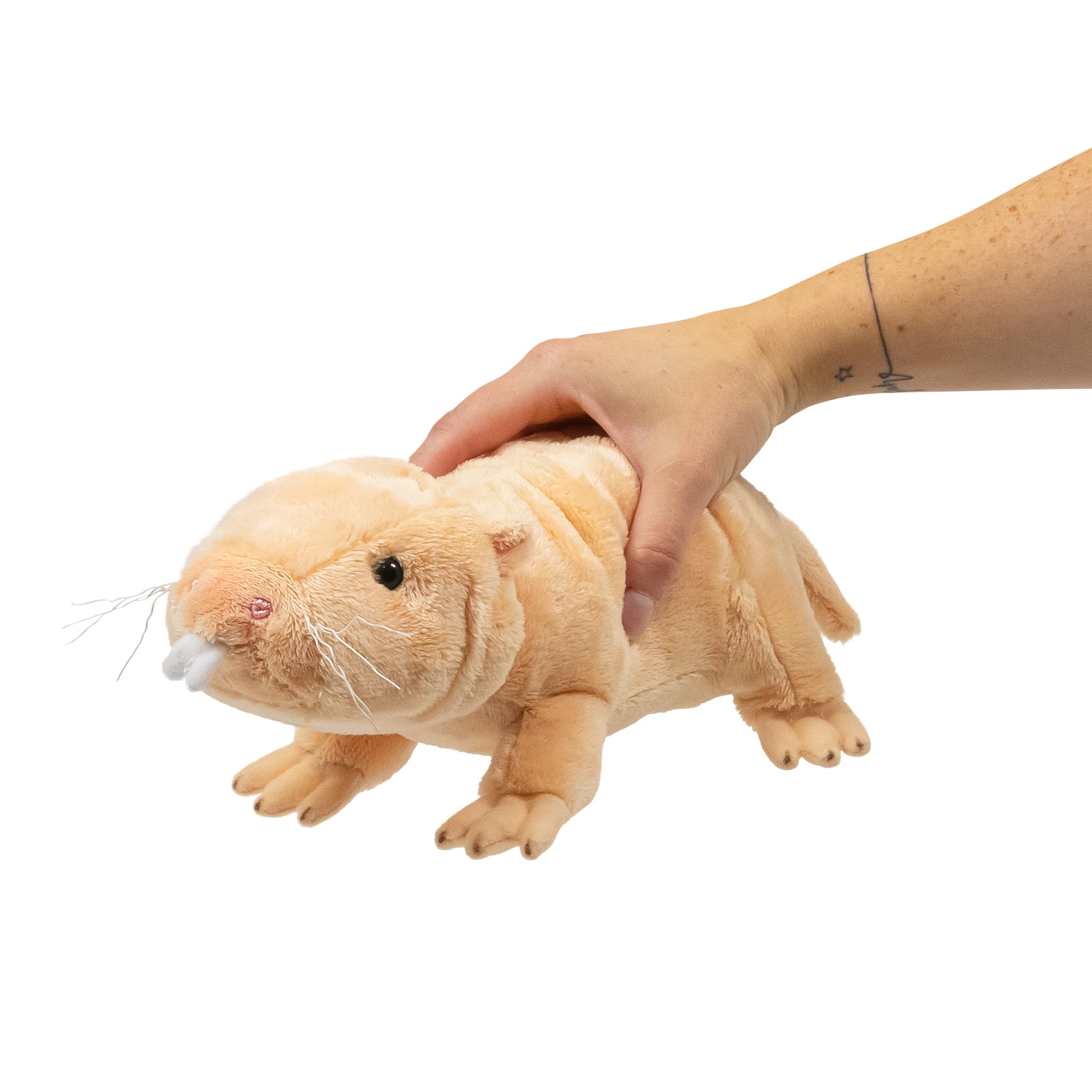 Animigos World of Nature Naked MOLE Rat, White