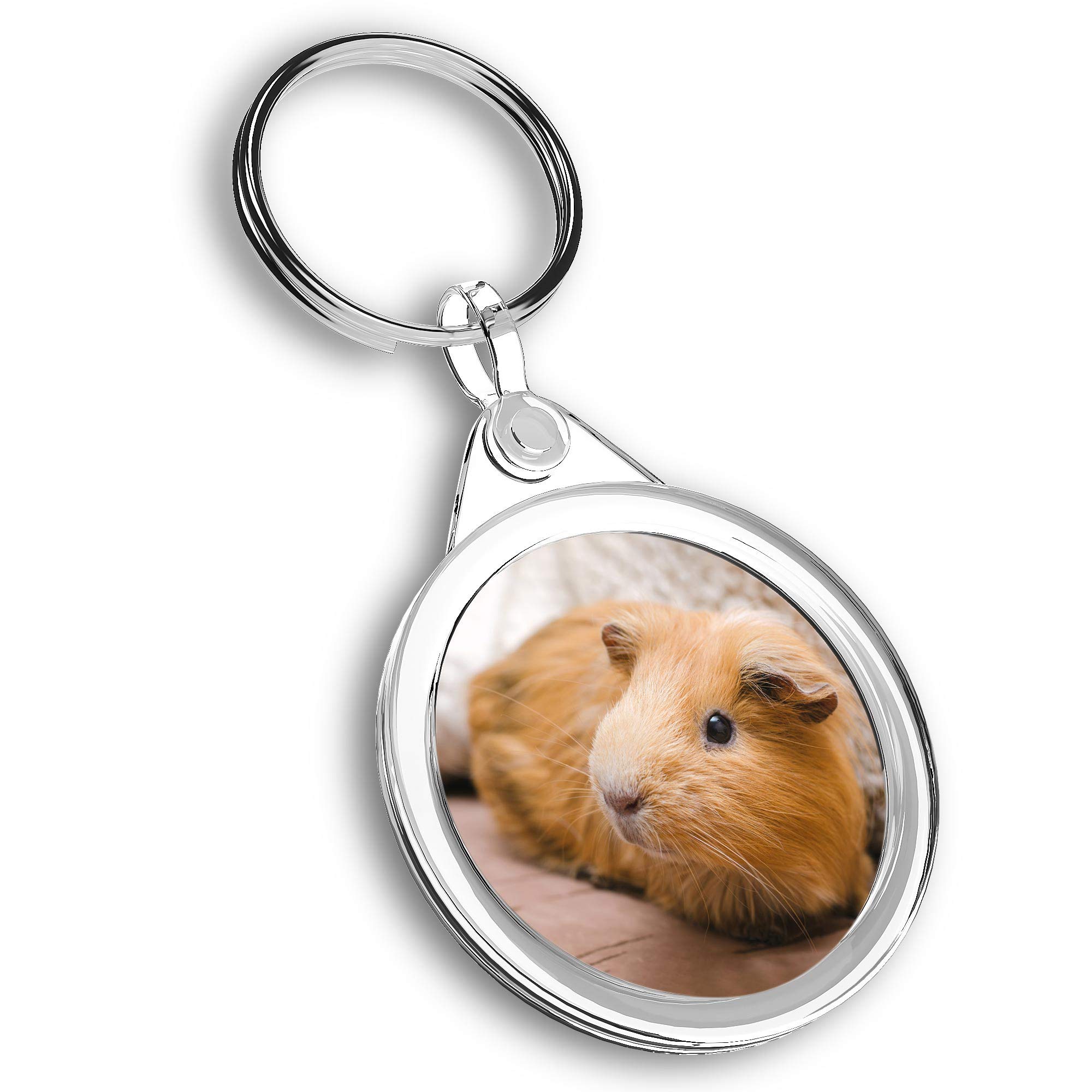 Destination Vinyl ltd 1 x Photo Keyring - Ginger Guinea Pig Pet Piggy |Keychain|Keyring|Charm| #45155