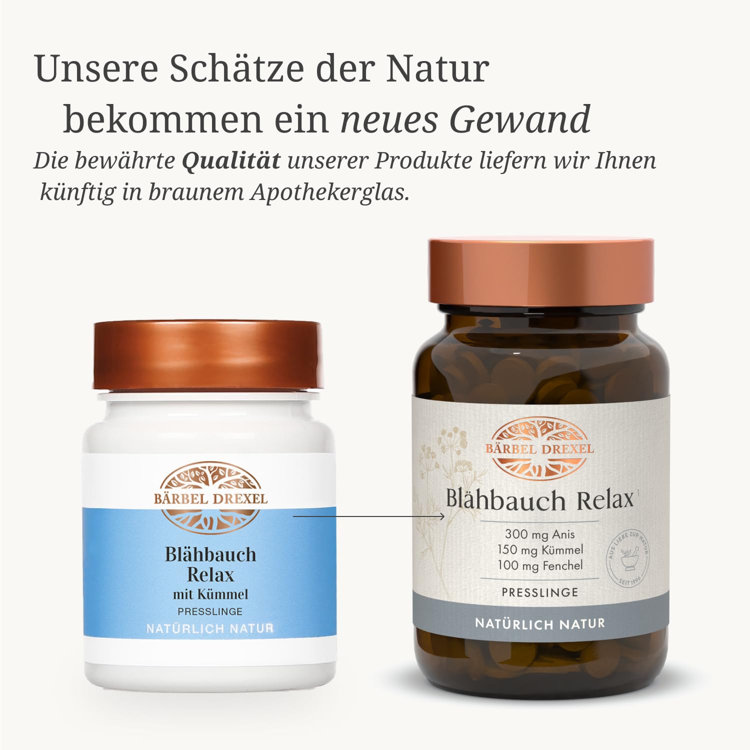 BÄRBEL DREXEL Blähbauch Relax mit Kümmel, Anis, Fenchel, Artischocken und Calcium (90 Stk) Verdauung unterstützen, Völlegefühl, Anti Blähungen Kapseln, Naturheilkunde Magen & Darm Tabletten
