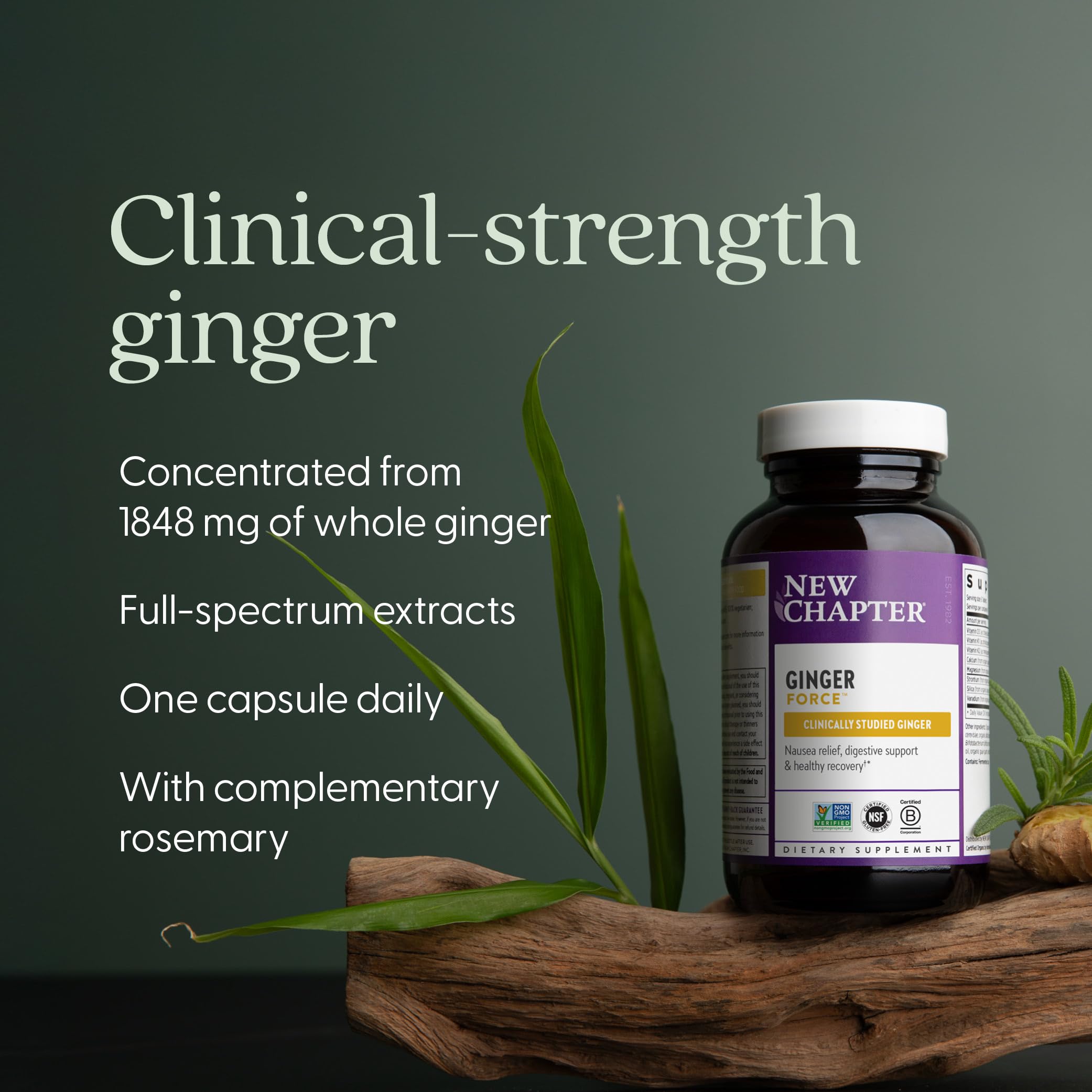 New Chapter Supercritical Ginger Force Supplement, 60 Count — Amazon image 3