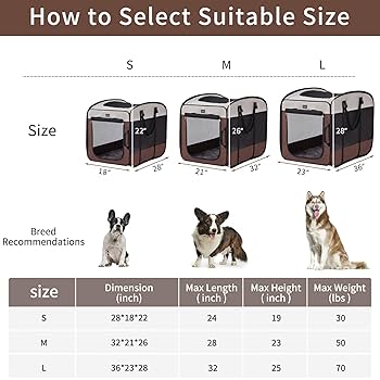 What Size Dog Crate Do I Need: Ultimate Guide for Perfect Fit