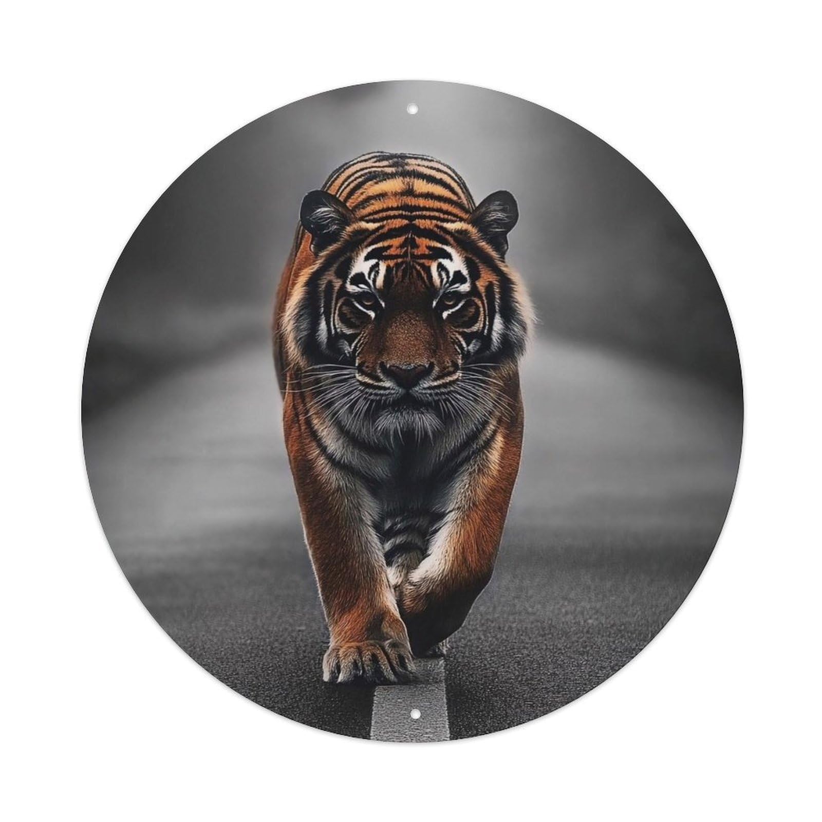 Animal Bengal Tiger Walking on Road in Misty Forest Wildlife Photography Vintage Metal Tin Sign Plaque Wall Decor for Cafe, Club Bar, Office, Garden Metal Poster 8x8Inch