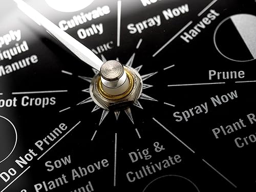 Miniatura 6 de Tabic Prestige Reloj de jardinería con luna cromada, reloj de jardín