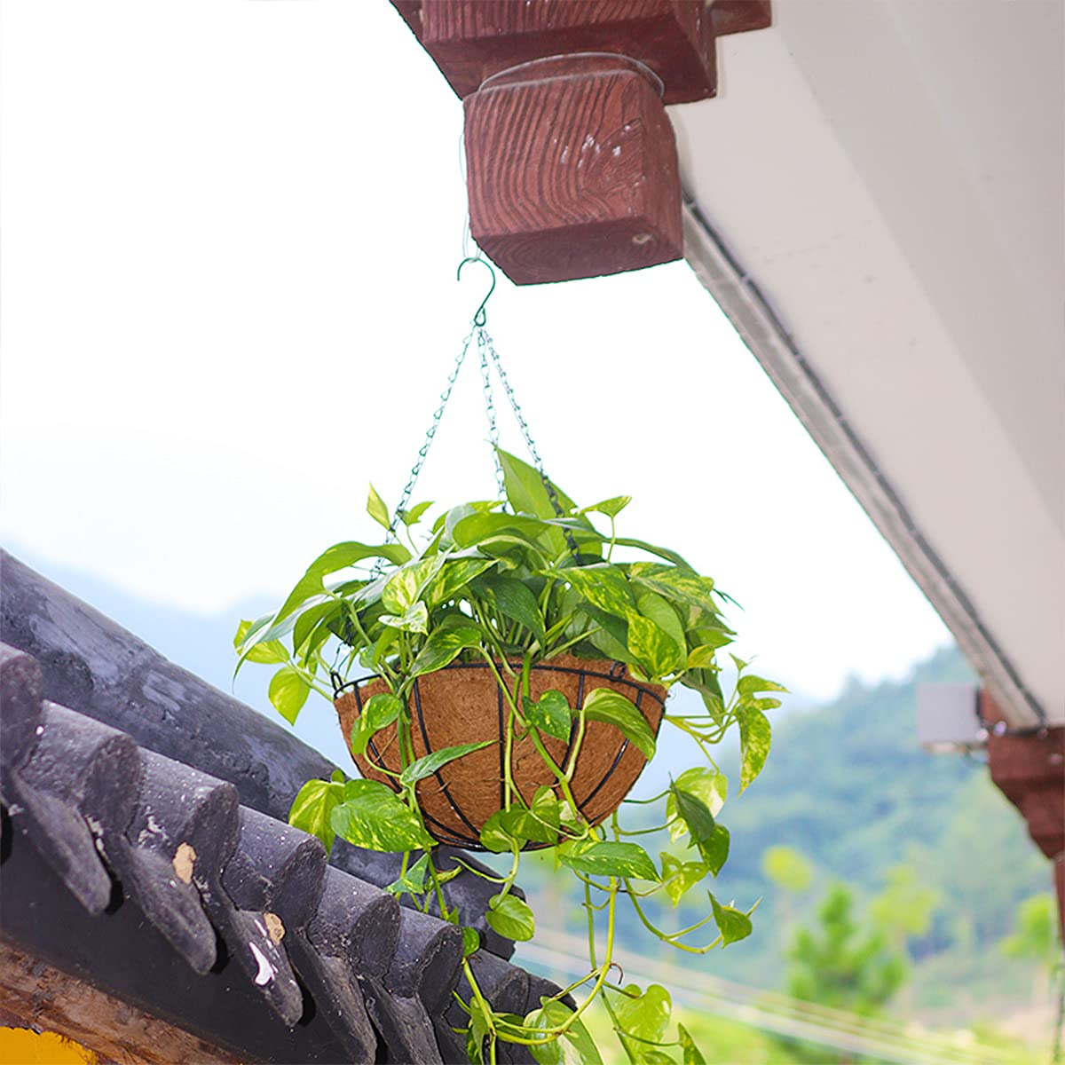 4 pièces 14 Pouces Doublure Ronde en Fibre de Noix de Coco 35cm Doublures de jardinière en Plein air Remplacement du Panier Remplacement de la Doublure pour Les Fleurs de Jardin Panier Légumes