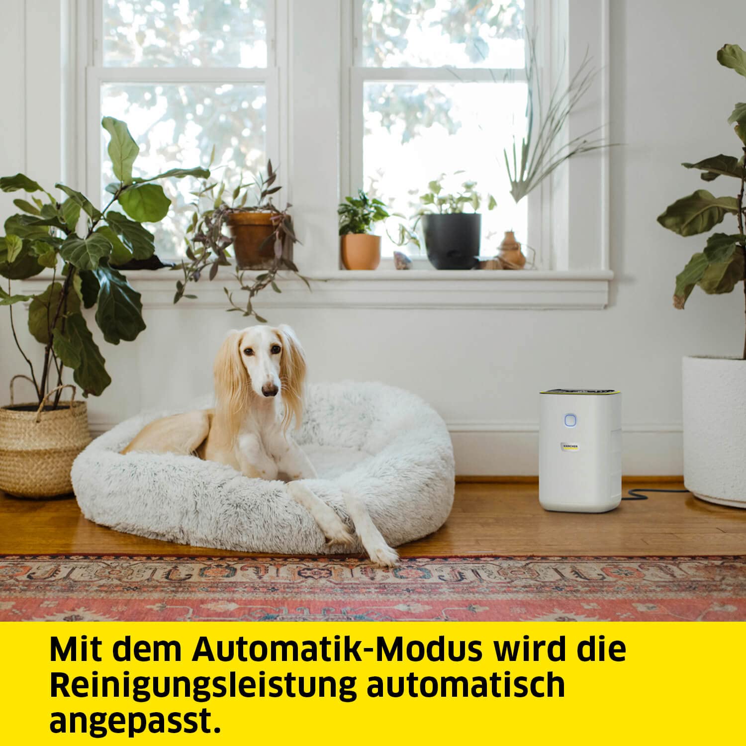 Kärcher Luftreiniger AF 20, Luftdurchsatz: 220m³/h, Raumgröße - 20-40 m², beseitigt 99,95% der Partikel bis zu 0,3μm wie Feinstaub, Aerosole, Allergene & Gerüche, Automatik-Funktion, Timer, Nachtmodus