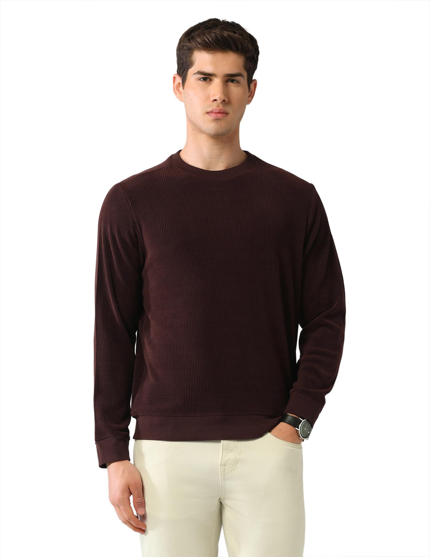 arvind Textured Regular Fit Sweatshirt-picture-33