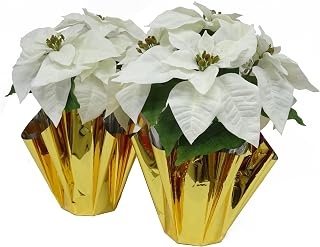 2 PCS Big 17.5" H Real Velvet Artificial Poinsettia Paper Pot w 7 Big Flower Heads (@ 11" W) for Christmas Decoration at Home Door Entryway Living Room Stair Corridor Office Shop (Xmas Decor) (Cream)