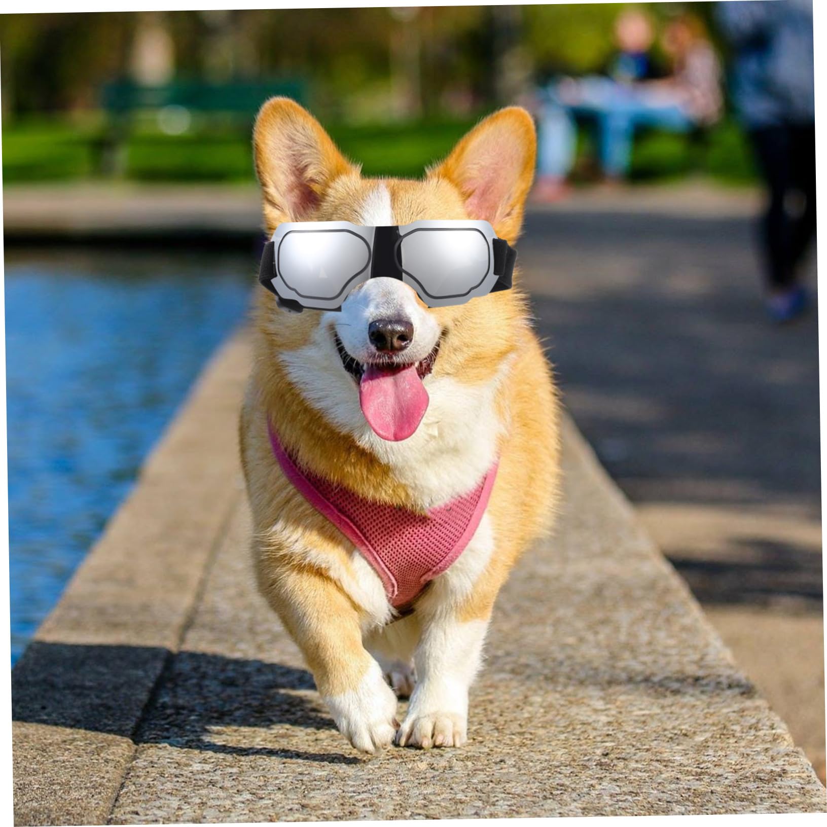 BESPORTBLE 5 Sztuk Okulary Dla Zwierząt Domowych Szczeniak Gogle Okulary Dla Zwierząt Domowych Dla Psa Party Dla Psa Gogle Dla Psów Zwierzęta Domowe Są Zwierzęta Domowe