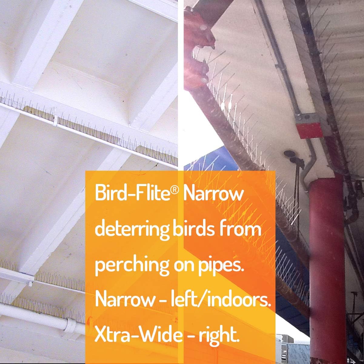 Bird Barrier Bird-Flite Stainless Steel Bird Spikes | Metal Pins Strips with Plastic Base, Clear Glue Adhesive Included - Narrow (2.5in) 10 Ft. Length