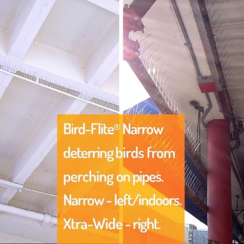 Miniatura 10 de Bird-Flite - Kit de repelente de palomas de acero inoxidable con base de plástico, adhesivo transparente incluido, ancho (5 pulgadas) - 5 pies de