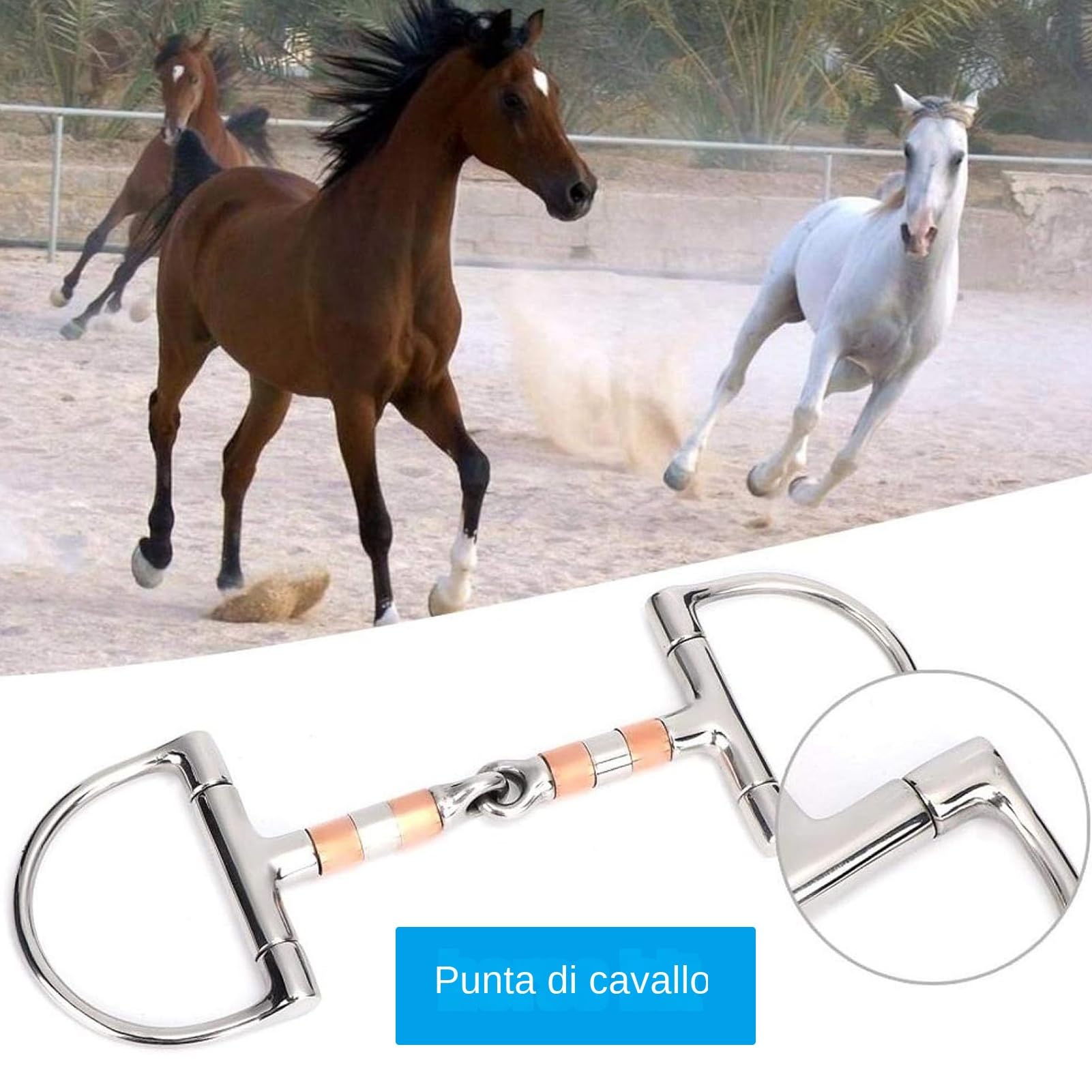 Morso per cavallo con anello a D | Morso per cavallo con bocca a rullo in rame - Morso per cavallo a snodo singolo, filetto con anello a D per forniture equestri