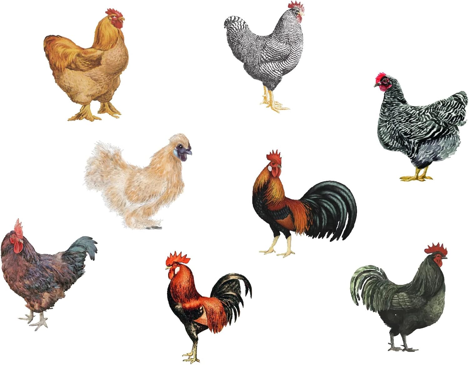 PLIGREAT 8 Pcs Roosters Hens Wall Stickers, Removable Vinyl Peel and Stick Wall Decals for Kitchen Pantry Playroom Nursery Farmhouse Wall Decoration Home Indoor DIY Window Fridge Door Wall Art Decor
