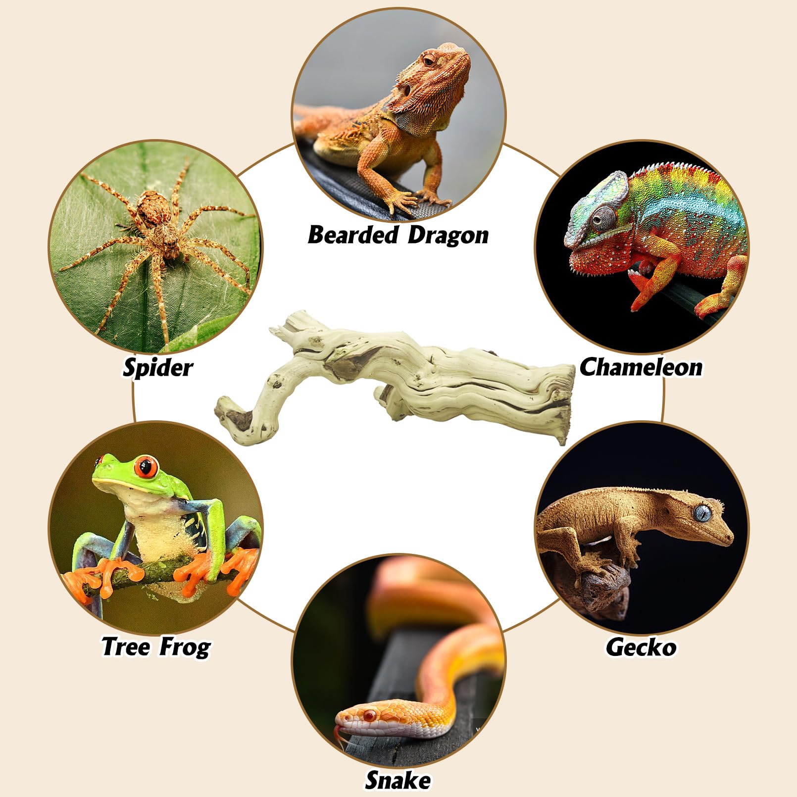 VCEPJH Decoración de rama de serpiente grande de 15.5 pulgadas, madera natural de reptiles, corcho, tronco de dragón barbudo, accesorios para tronco de árbol para camaleón, gecko, pitón, rana