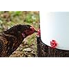 Product Photo 4
