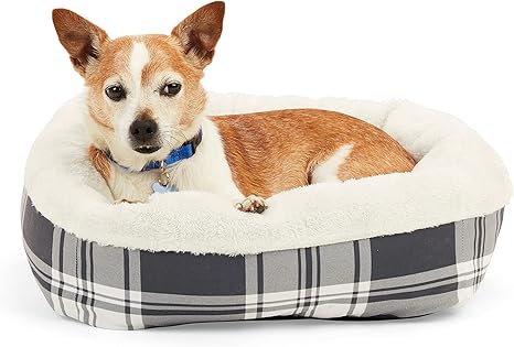 petco small dog beds