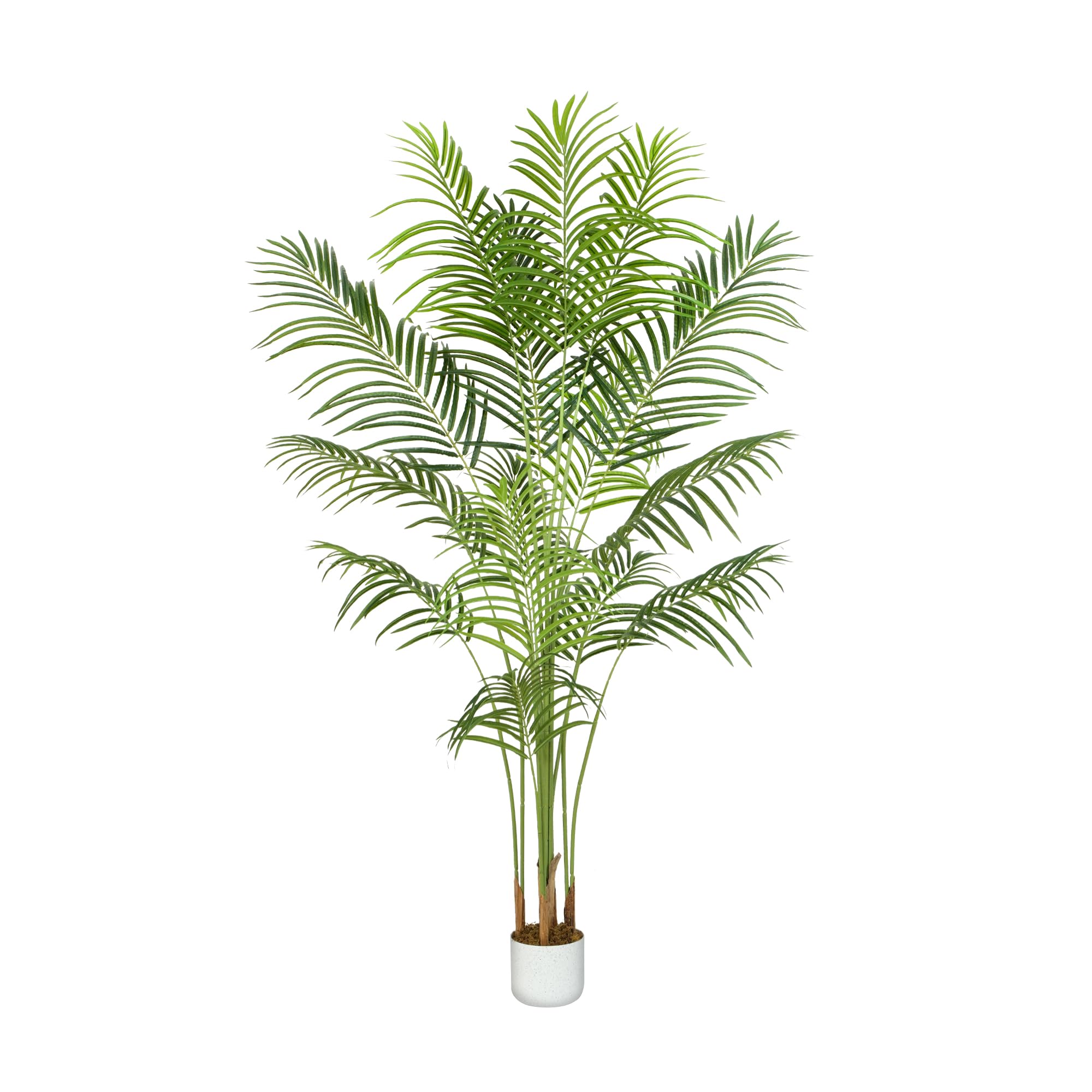 Mcc (160Cm) Artificial Palm Tree With Plastic Planter And Moss
