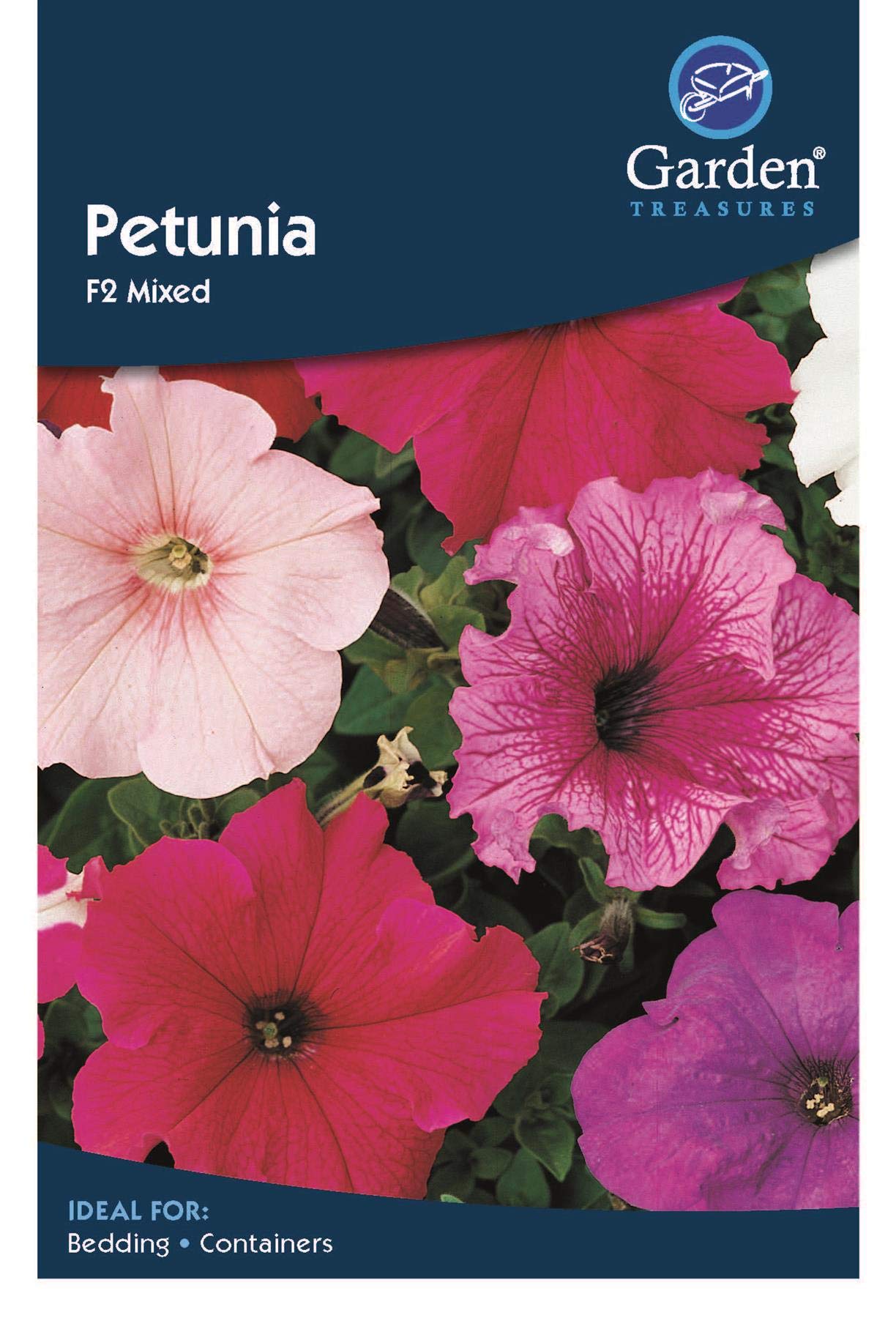 Garden Treasures Petunia F2 Mixed Seeds Grow Your Own Flowers