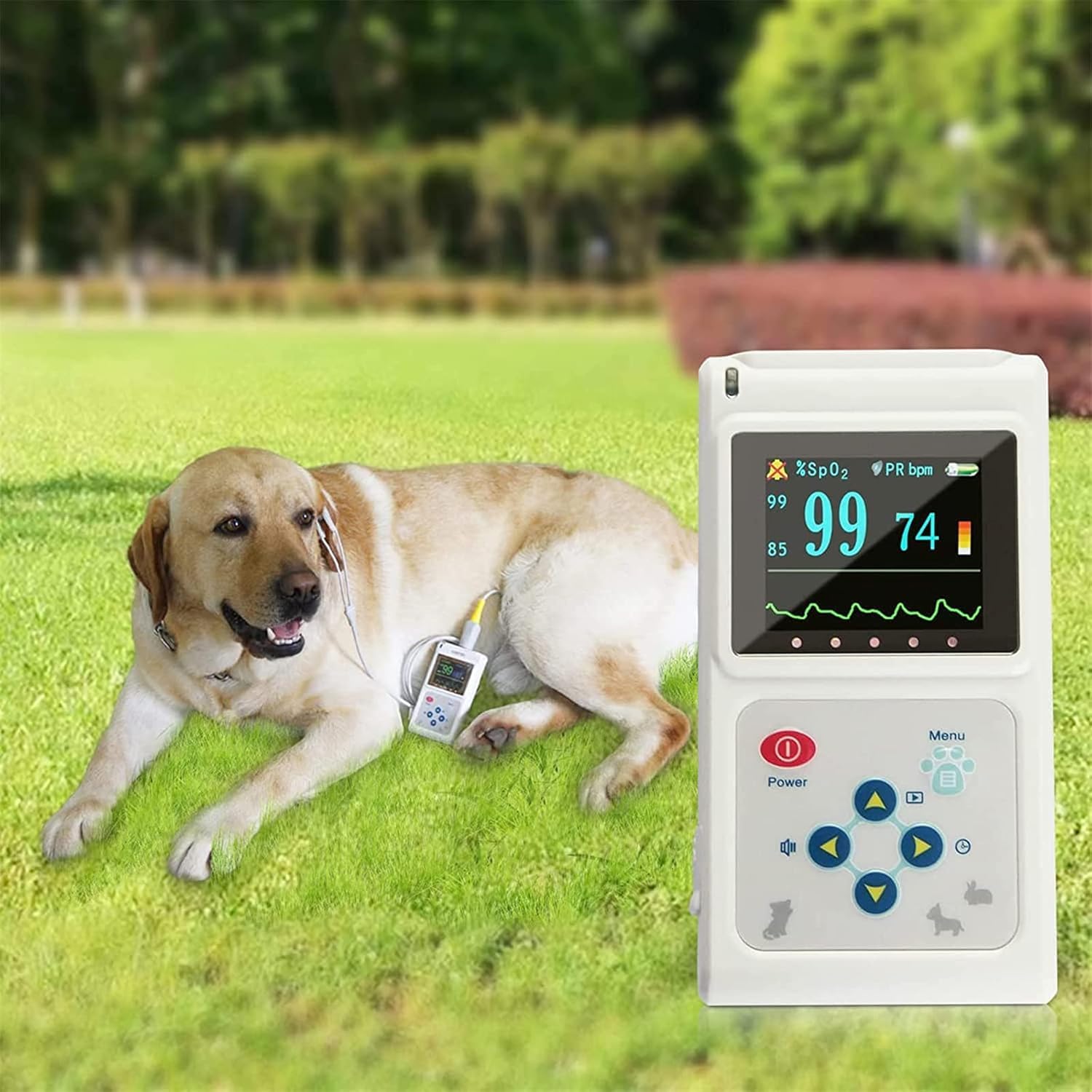 Handheld-Pulsoximeter Für Den Tierärztlichen Gebrauch, Messung Der Sauerstoffsättigung Und Herzfrequenz Von Haustieren, Mit Sonde Und USB-Kabel, Sicher Und Nicht-invasiv, Für Hunde, Katzen
