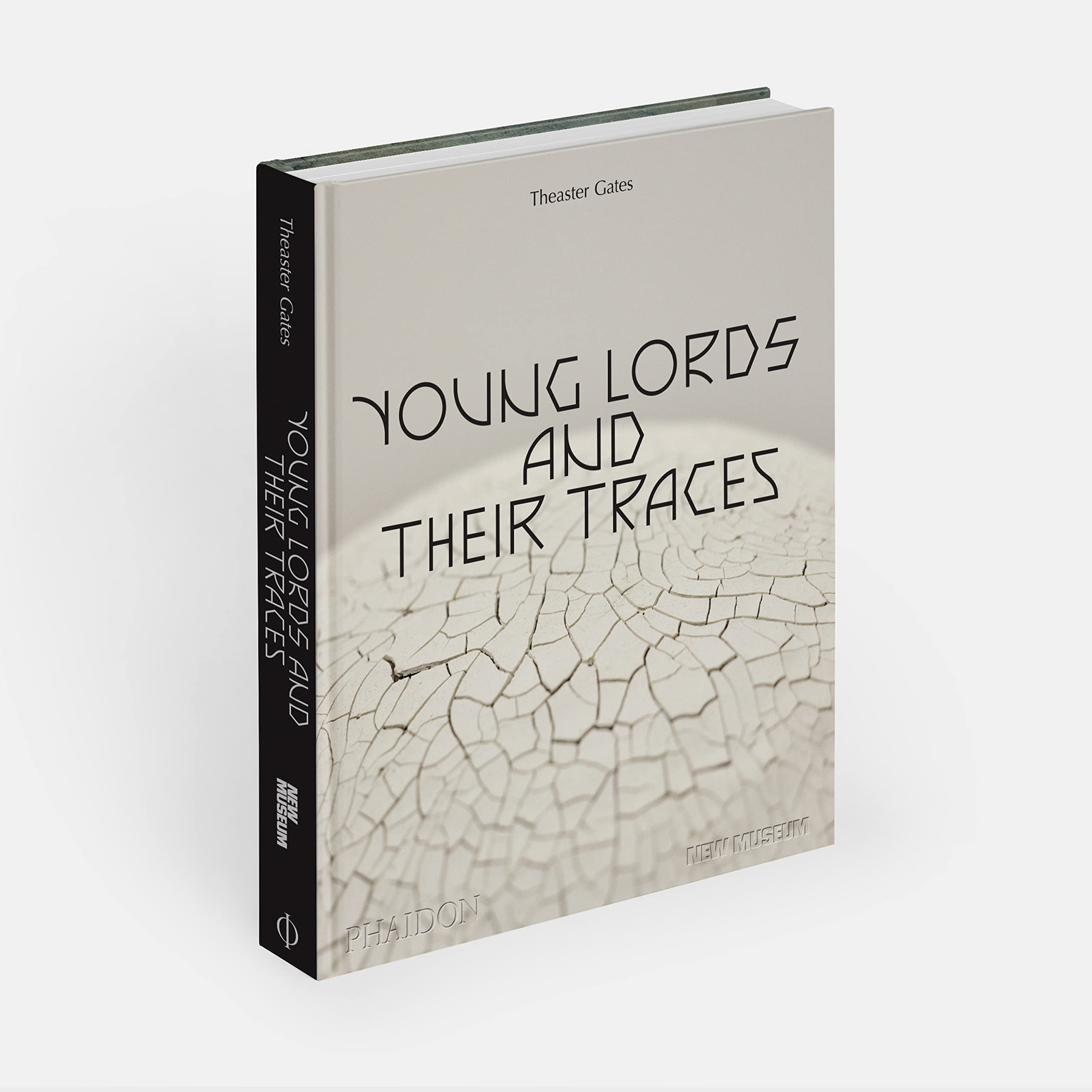 Theaster Gates: young lords and their traces