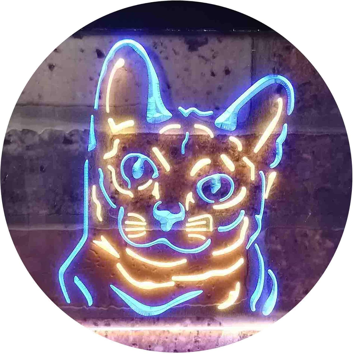 ADVPRO Korat Cat Pet Shop Bedroom Decoration Dual Color LED Neon Sign Blue & Yellow 12 x 8 Inches st6s32-i0990-by