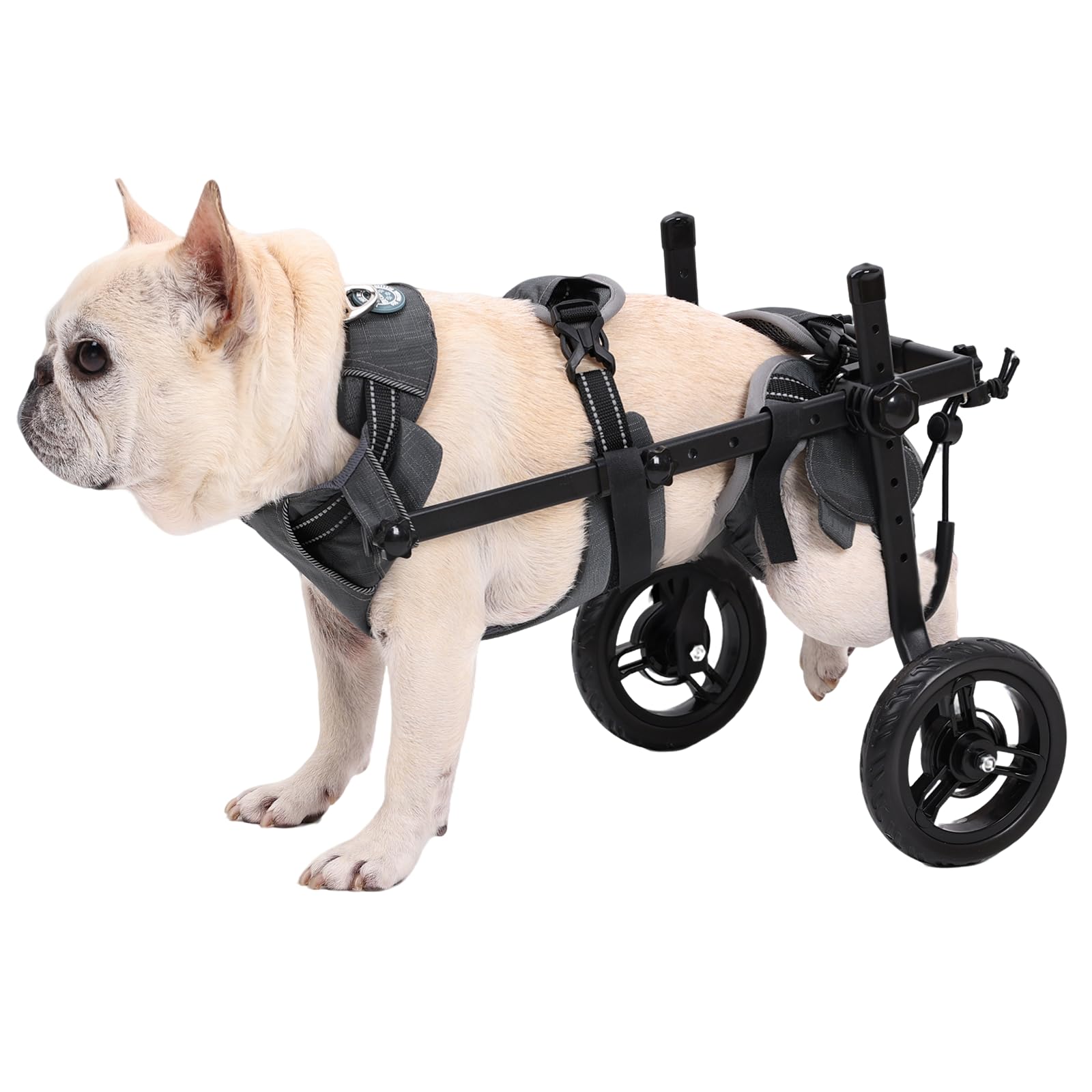 Fauteuil roulant réglable pour pattes arrières avec roues antidérapantes